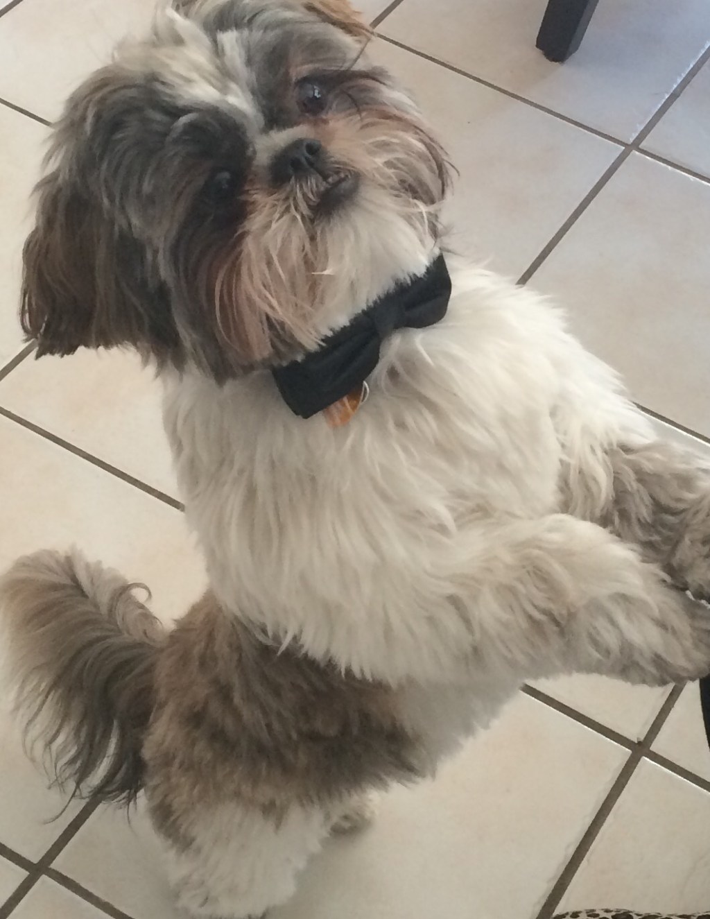 Chase: Now I Understand the Runner’s&nbsp;High